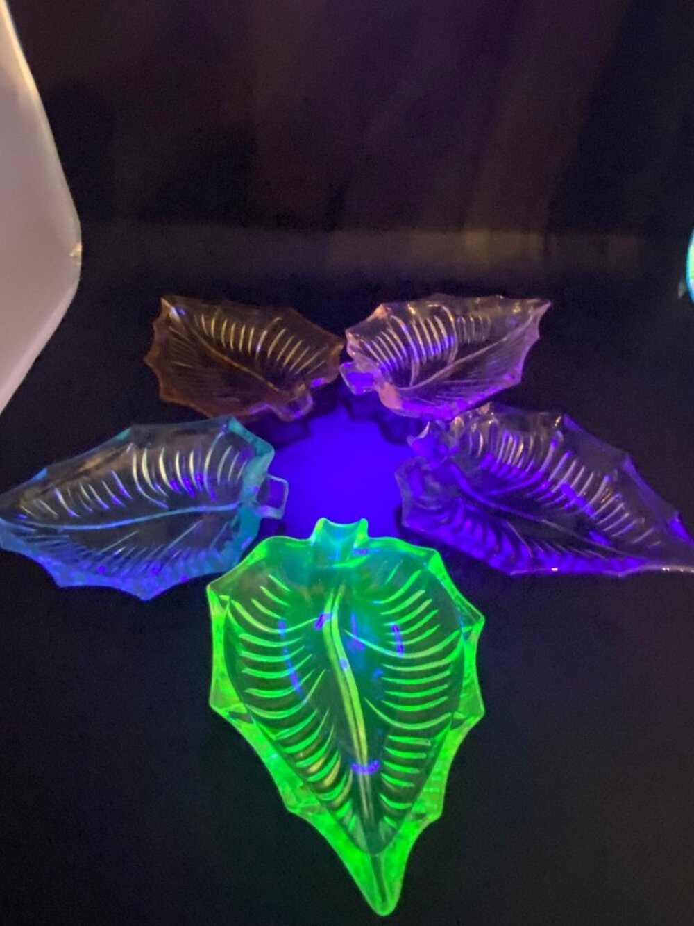 Vintage Glass Peedee Leaf Dish Set of 5